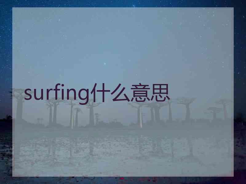 surfing什么意思