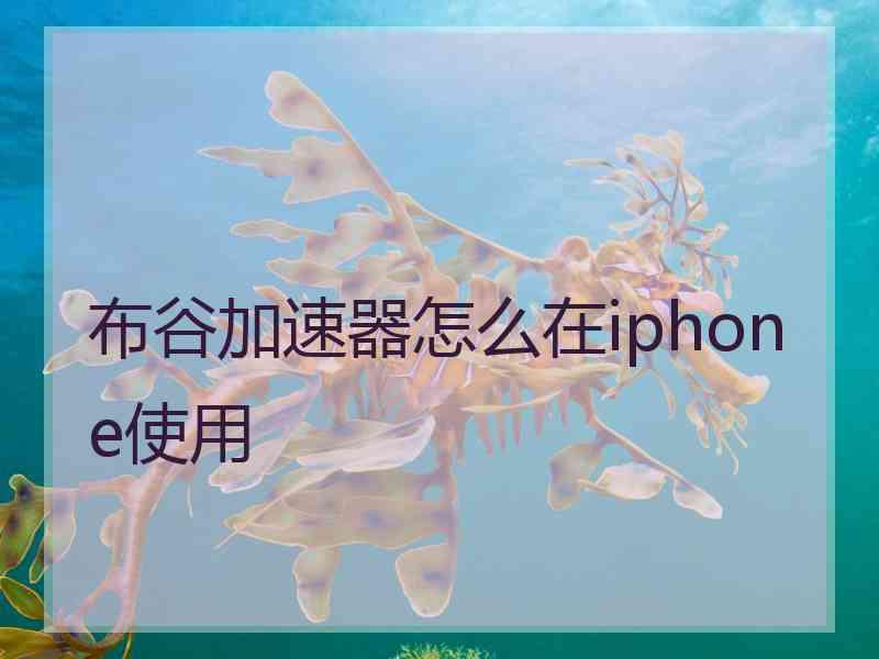 布谷加速器怎么在iphone使用