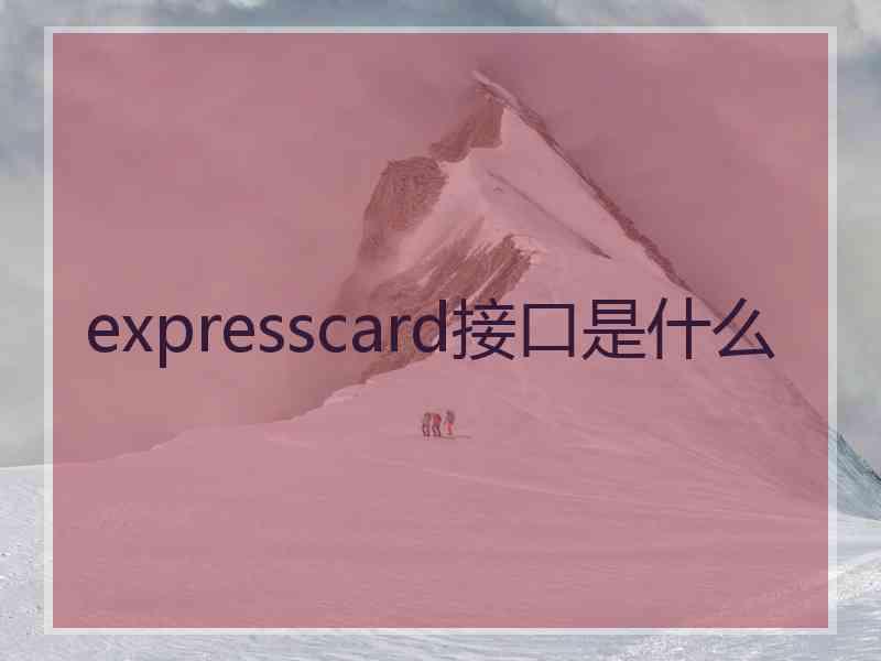 expresscard接口是什么