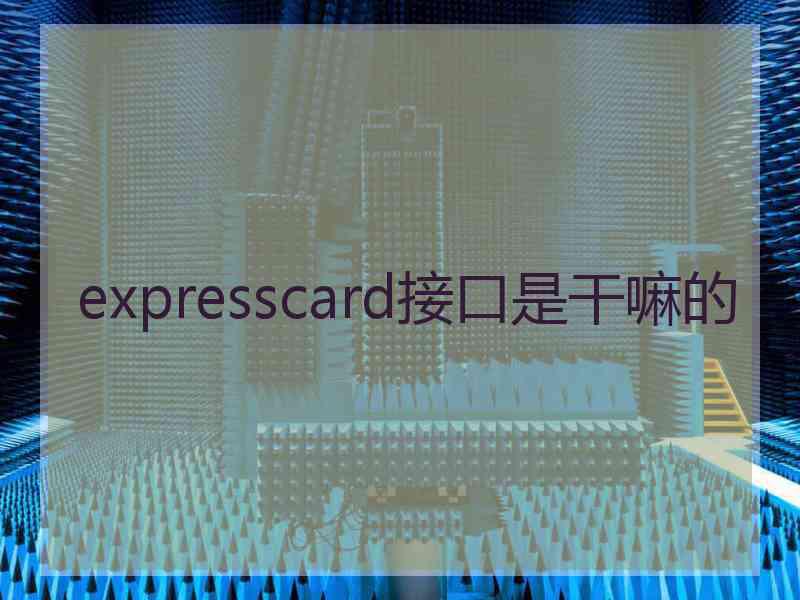 expresscard接口是干嘛的