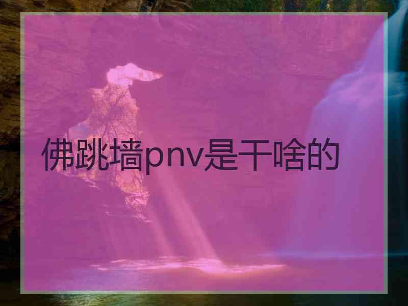 佛跳墙pnv是干啥的