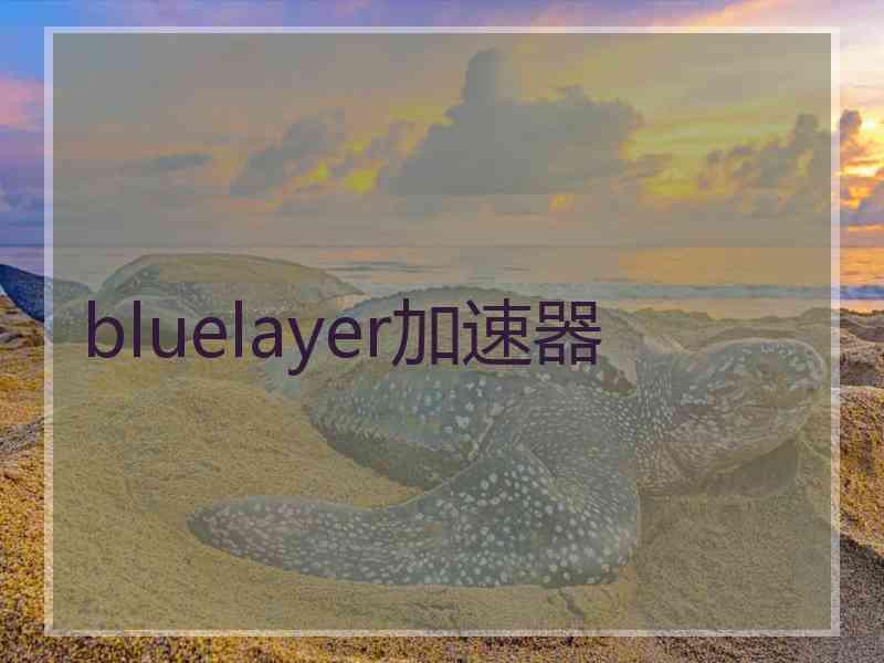 bluelayer加速器