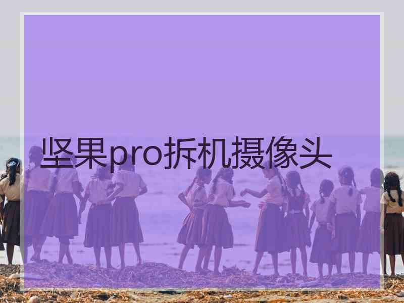 坚果pro拆机摄像头