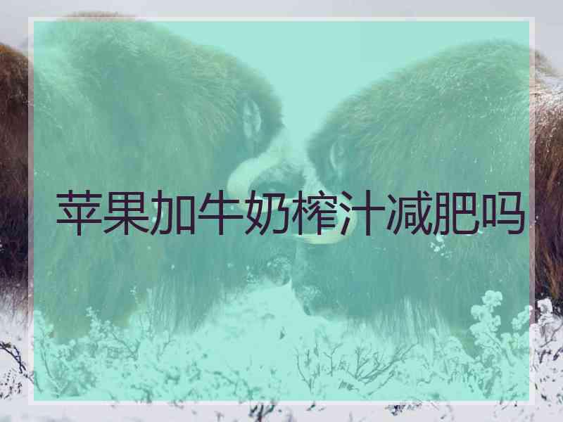 苹果加牛奶榨汁减肥吗