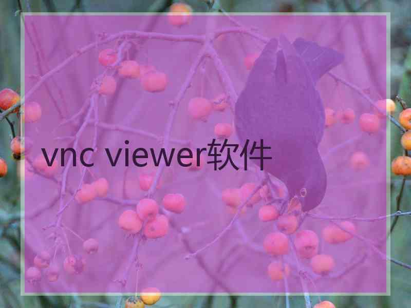 vnc viewer软件