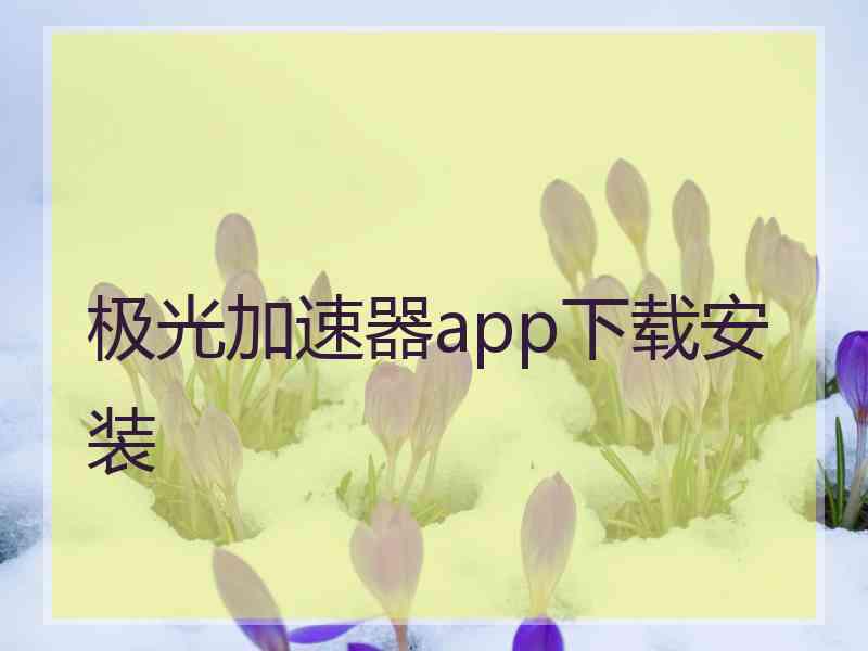 极光加速器app下载安装