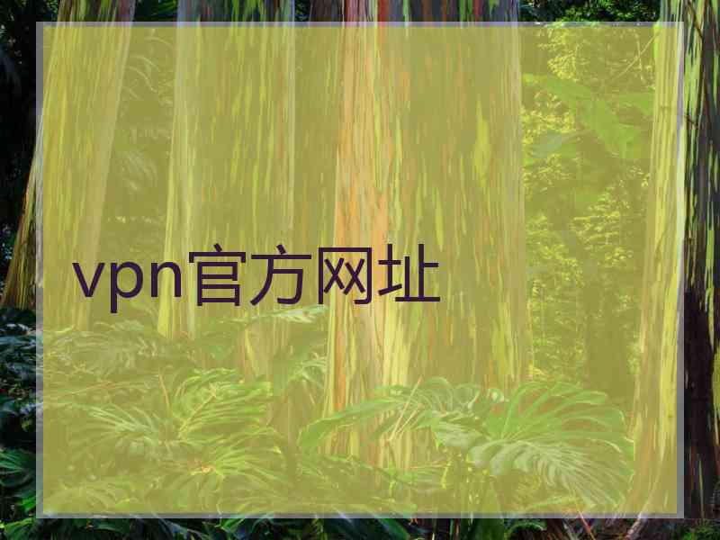 vpn官方网址