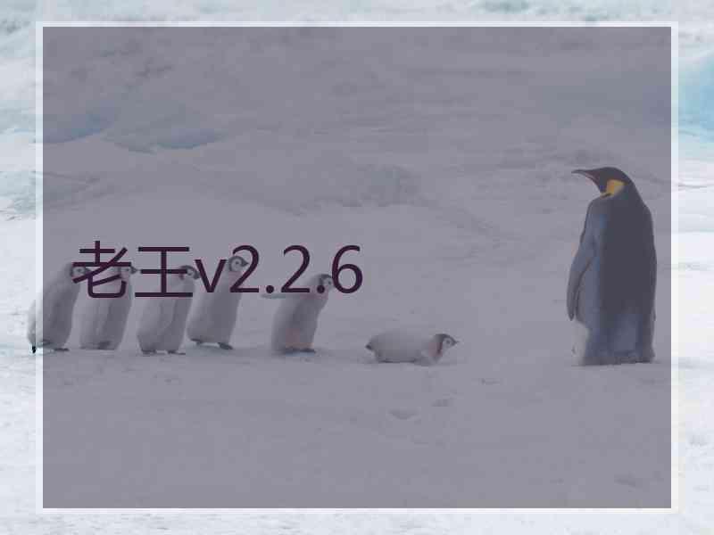 老王v2.2.6