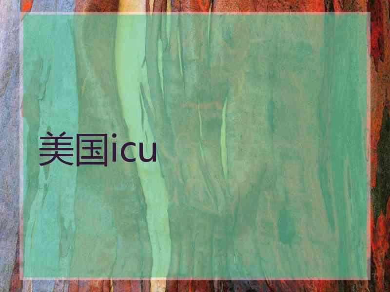 美国icu