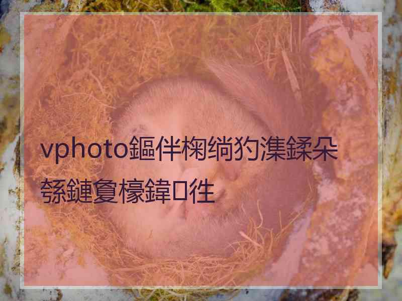 vphoto鏂伴椈绱犳潗鍒朵綔鏈夐檺鍏徃