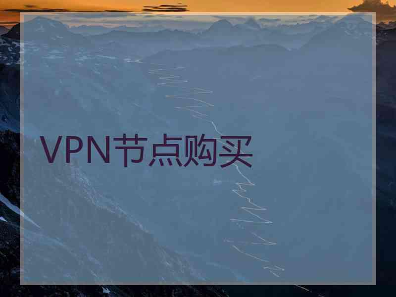 VPN节点购买