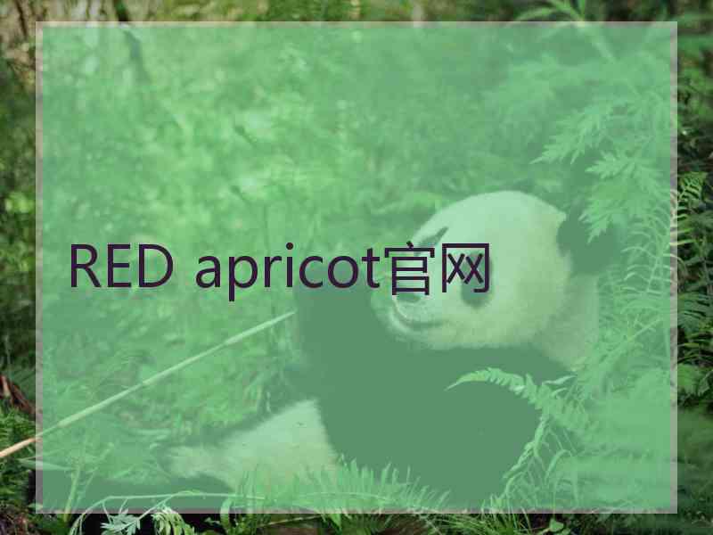 RED apricot官网