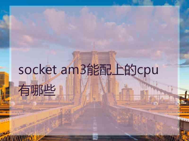 socket am3能配上的cpu有哪些