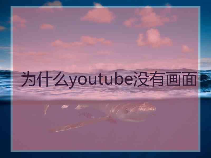 为什么youtube没有画面