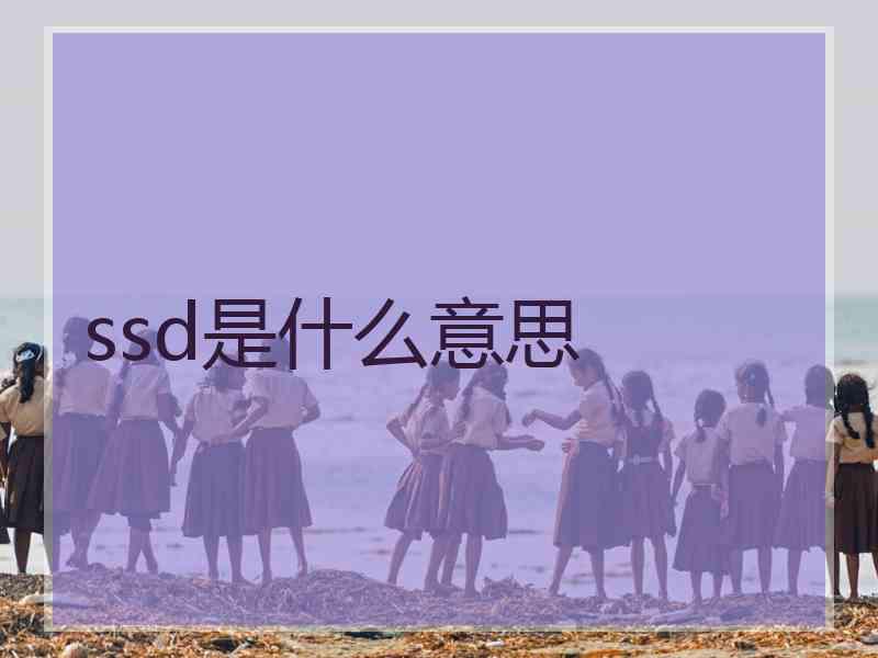 ssd是什么意思