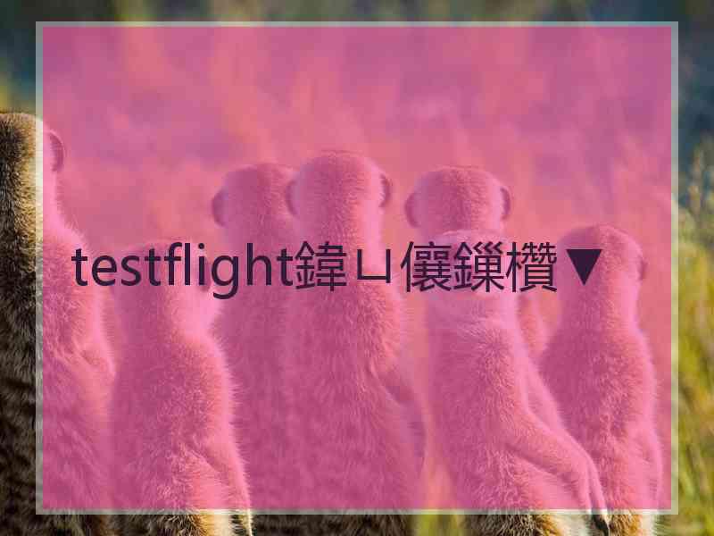 testflight鍏ㄩ儴鏁欑▼