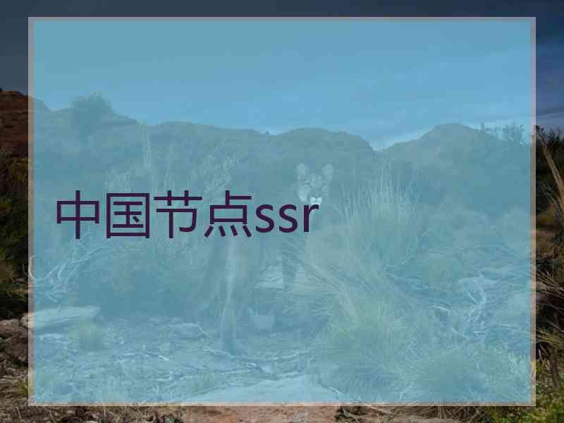 中国节点ssr