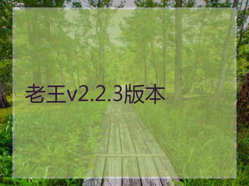 老王v2.2.3版本