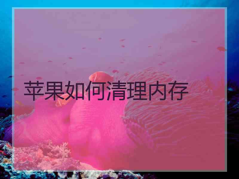 苹果如何清理内存