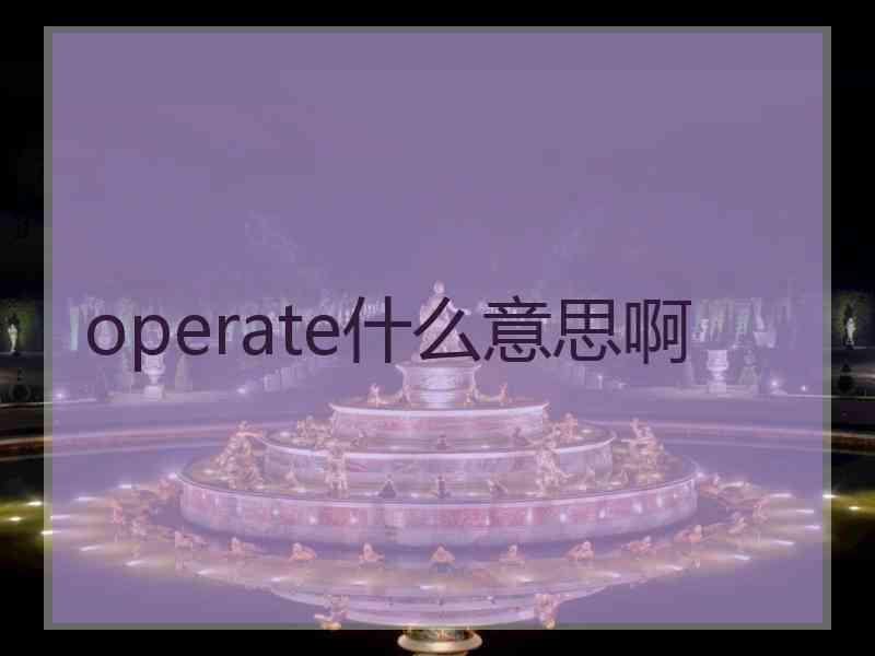 operate什么意思啊