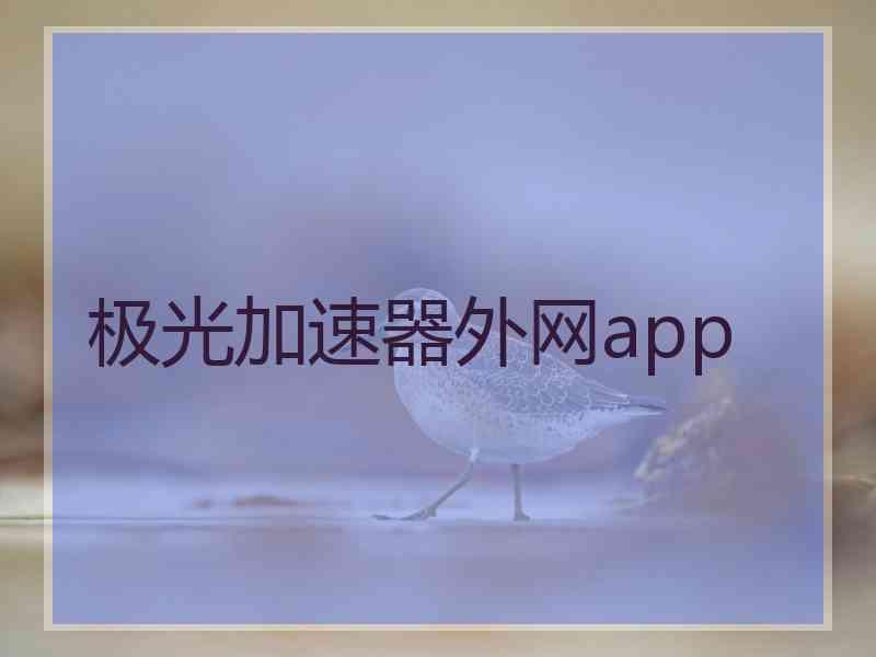 极光加速器外网app