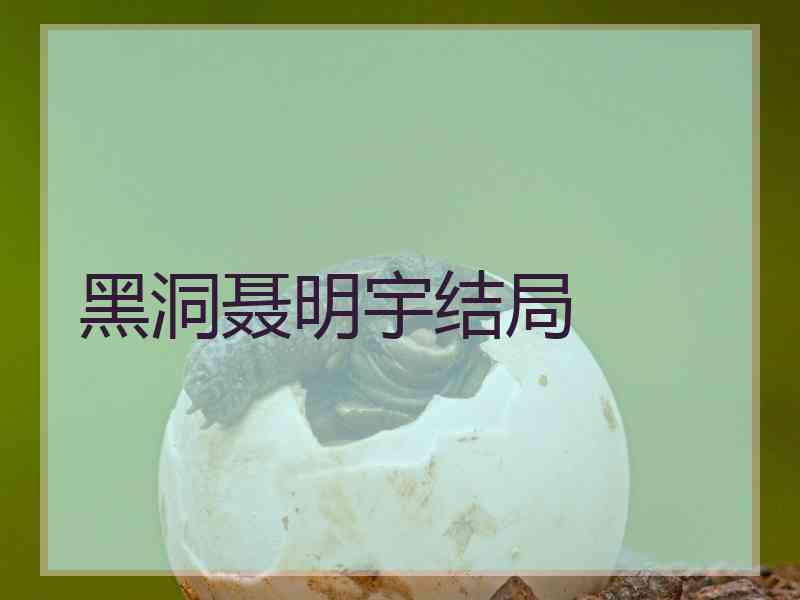 黑洞聂明宇结局