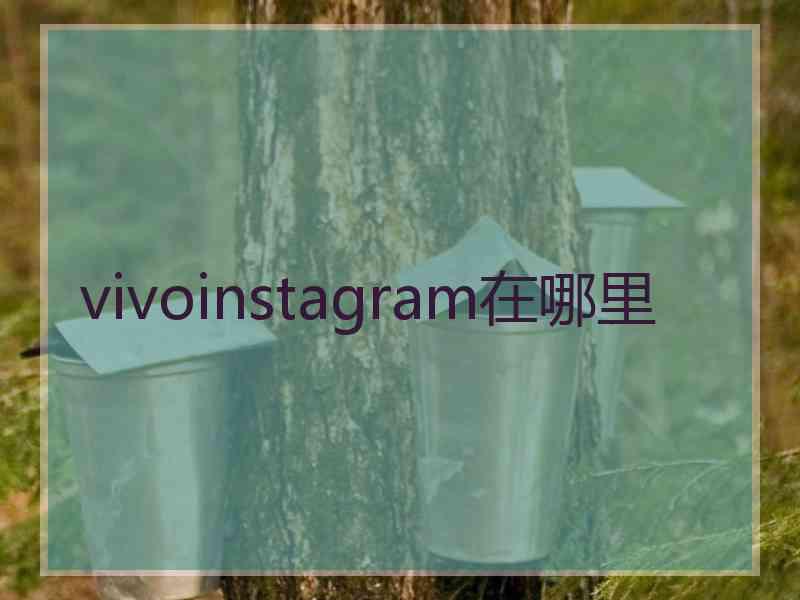 vivoinstagram在哪里