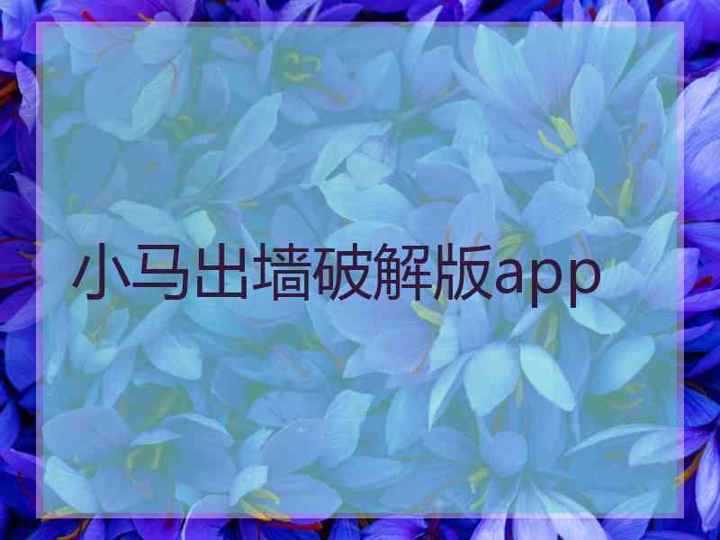 小马出墙破解版app