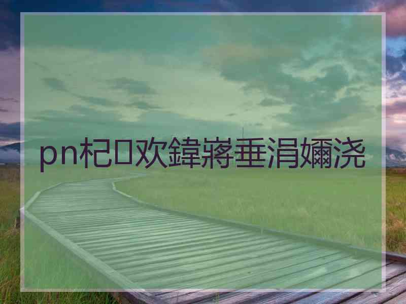 pn杞欢鍏嶈垂涓嬭浇