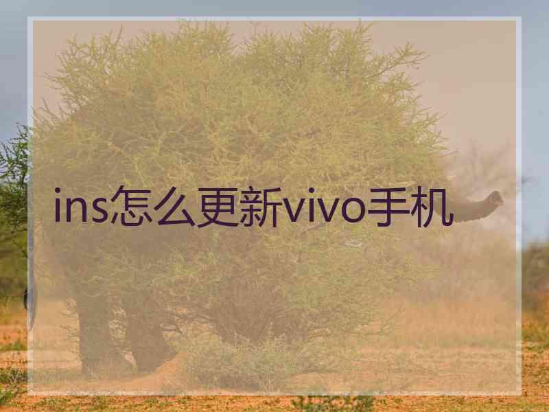 ins怎么更新vivo手机