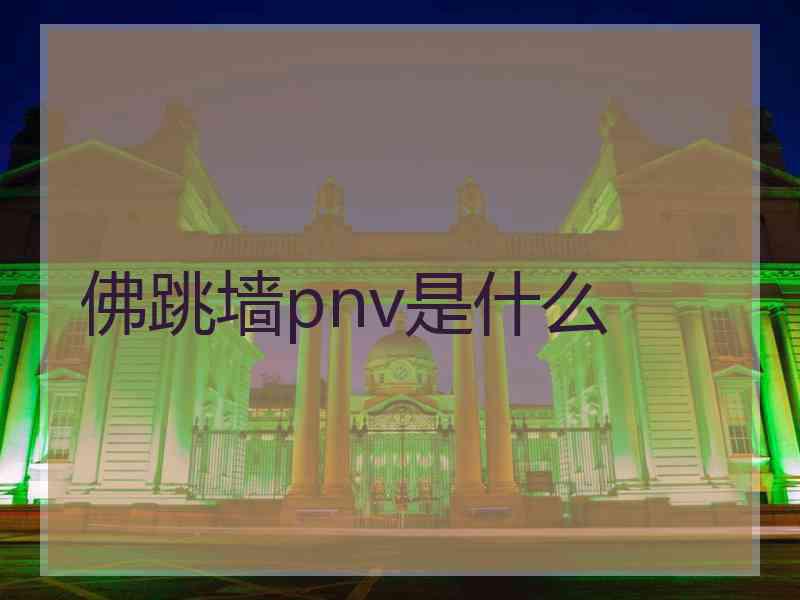 佛跳墙pnv是什么