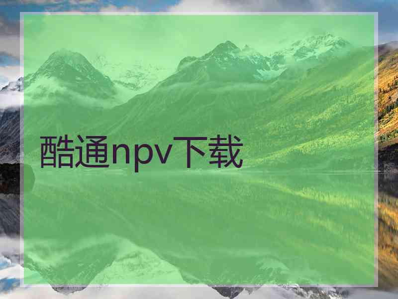 酷通npv下载