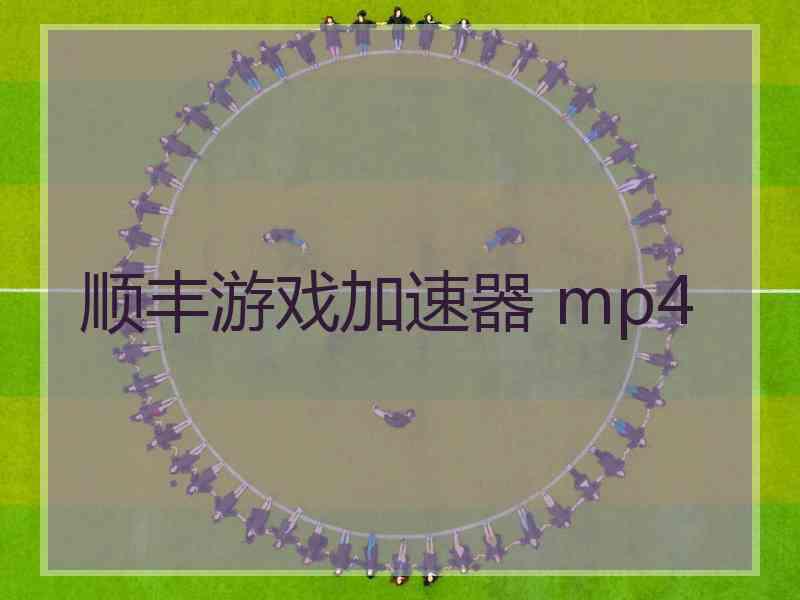 顺丰游戏加速器 mp4