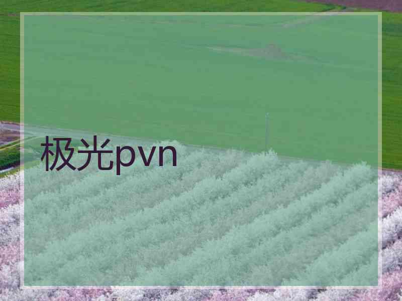 极光pvn