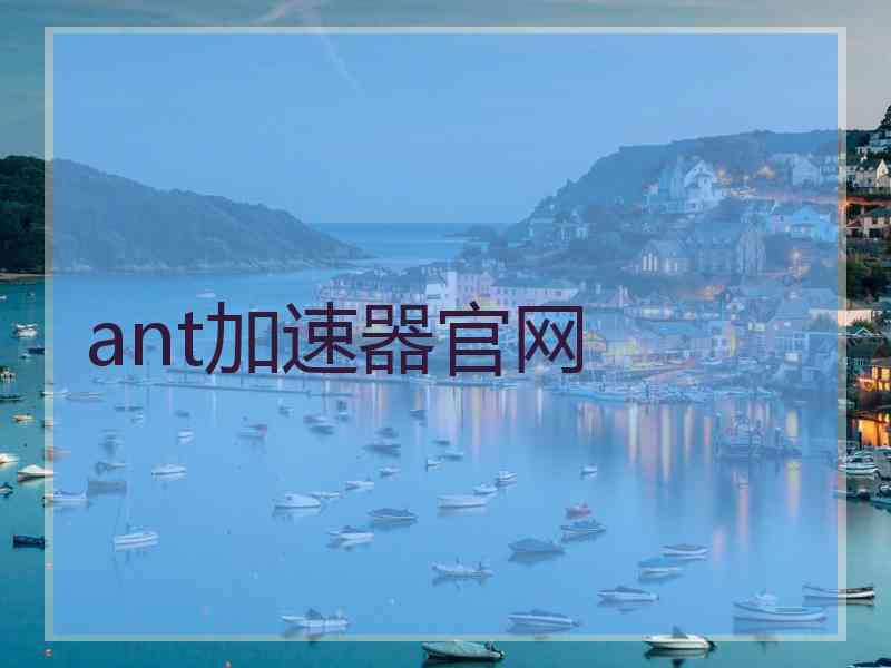 ant加速器官网