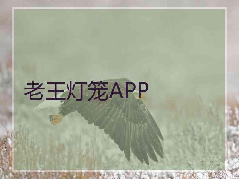 老王灯笼APP