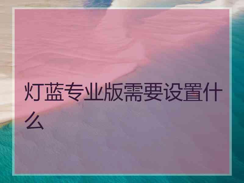 灯蓝专业版需要设置什么