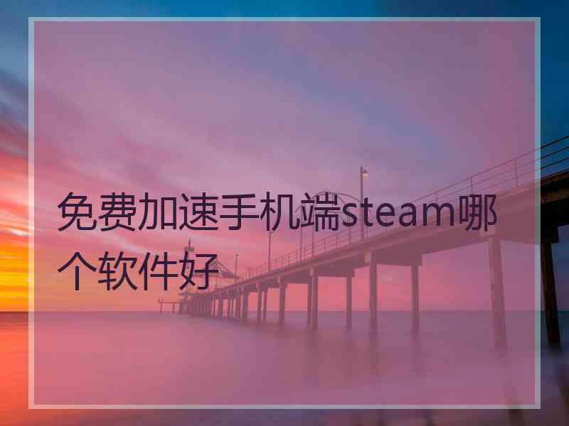 免费加速手机端steam哪个软件好