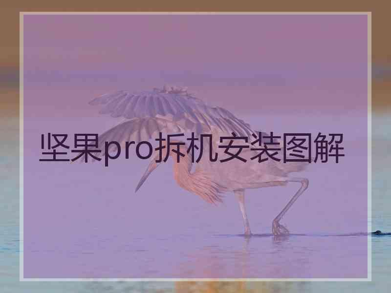 坚果pro拆机安装图解