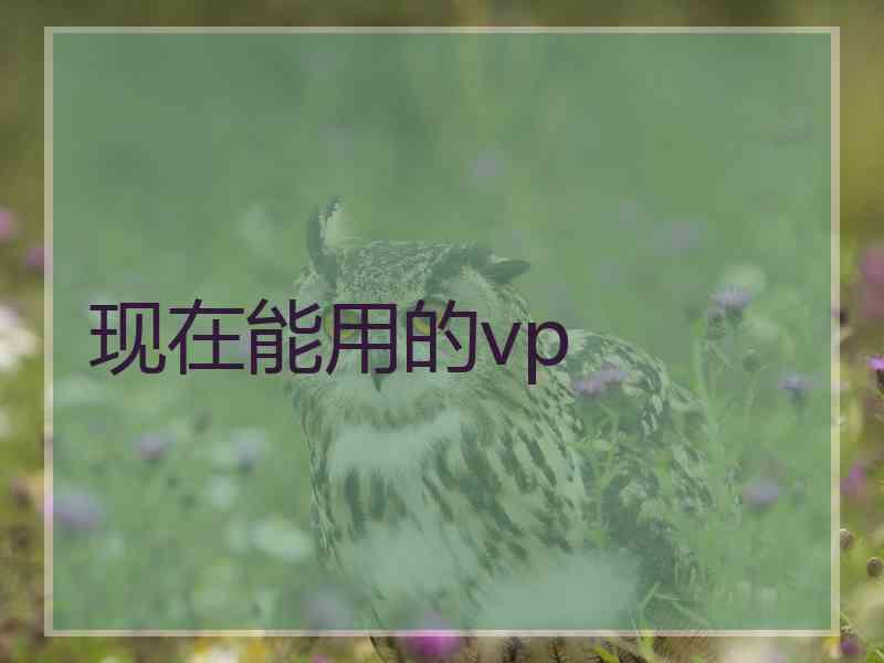 现在能用的vp