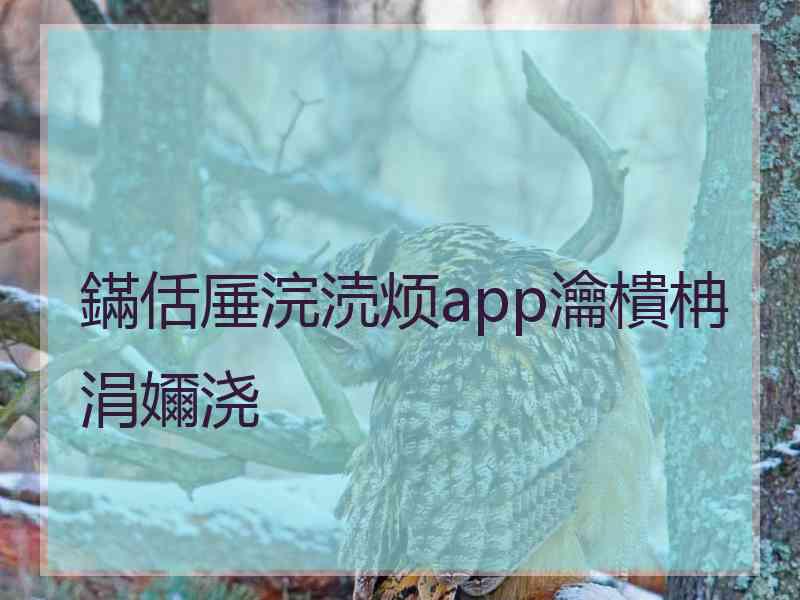 鏋佸厜浣涜烦app瀹樻柟涓嬭浇