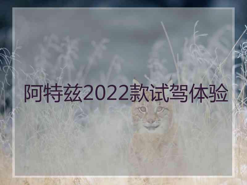 阿特兹2022款试驾体验