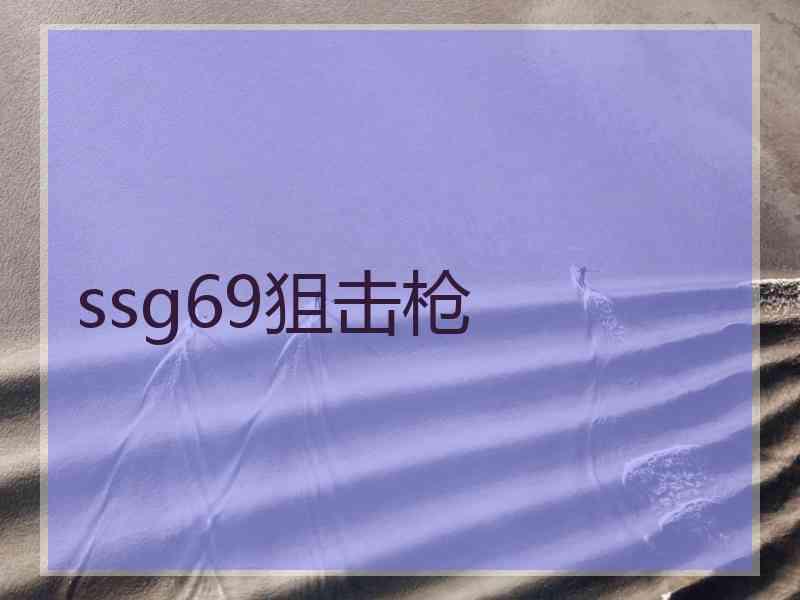 ssg69狙击枪