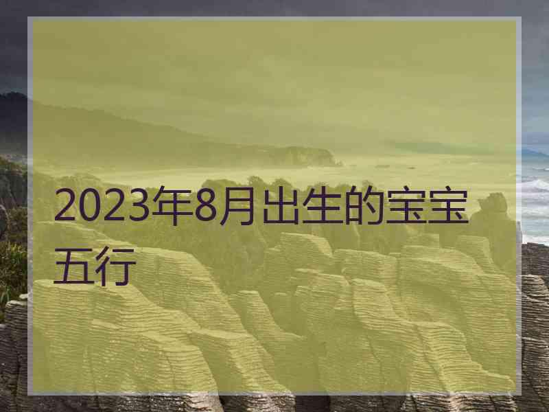 2023年8月出生的宝宝五行