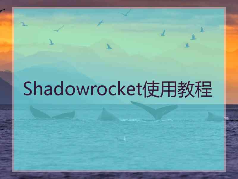 Shadowrocket使用教程