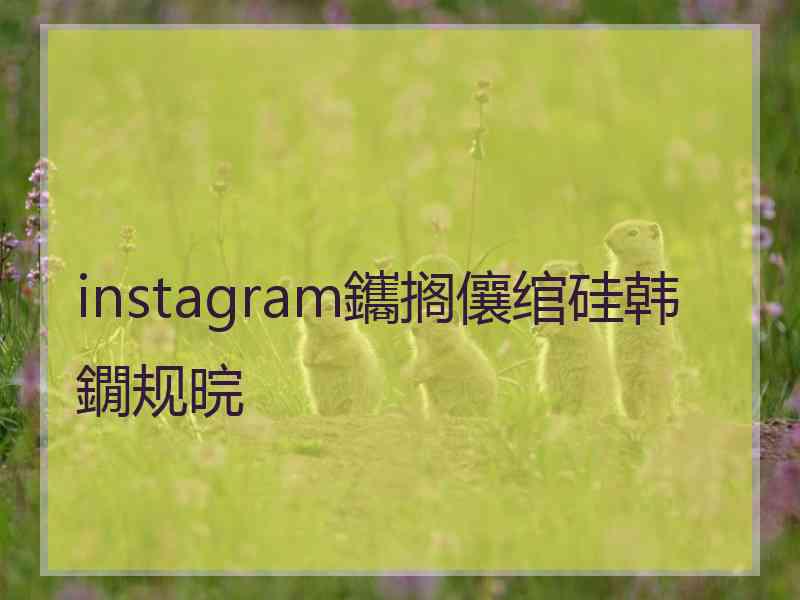 instagram鑴搁儴绾硅韩鐗规晥