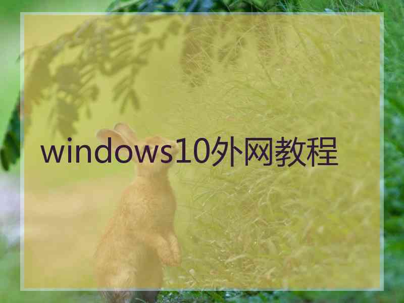 windows10外网教程