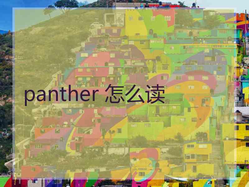 panther 怎么读