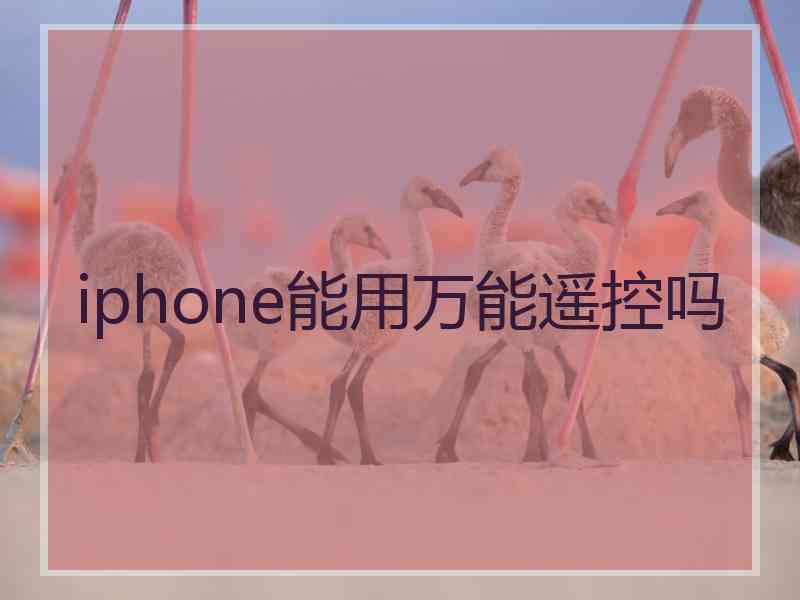 iphone能用万能遥控吗