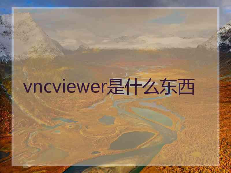 vncviewer是什么东西